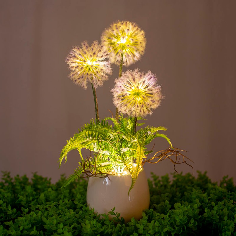 Lighting & Household Essentials